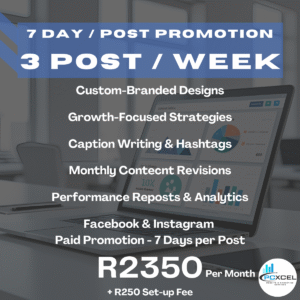 3 Post / Week x 7 Day Meta Paid Promotion